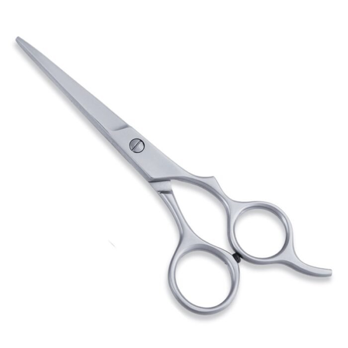 Economy Hair Scissor - Image 1