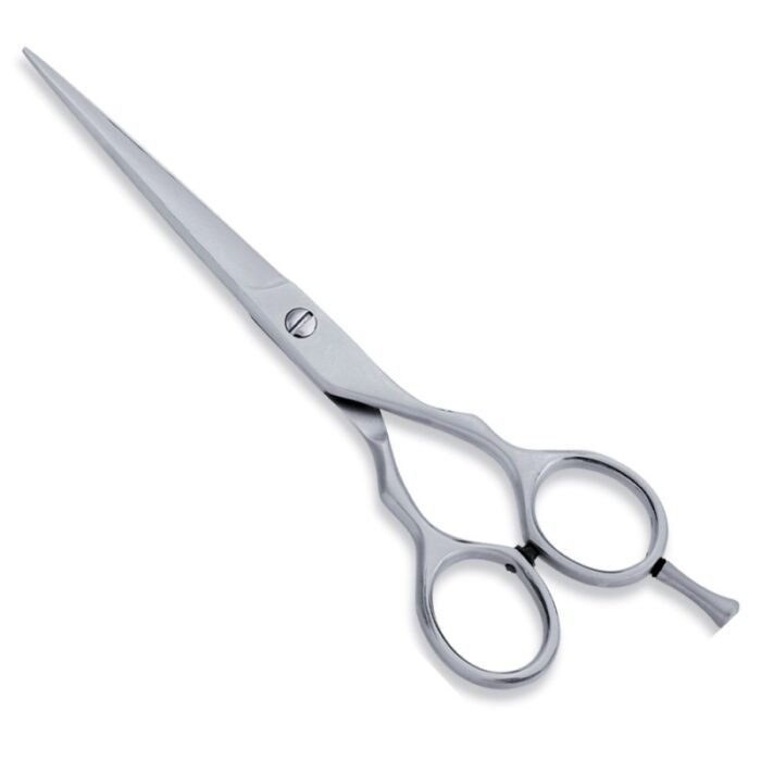 Economy Hair Scissor - Image 1
