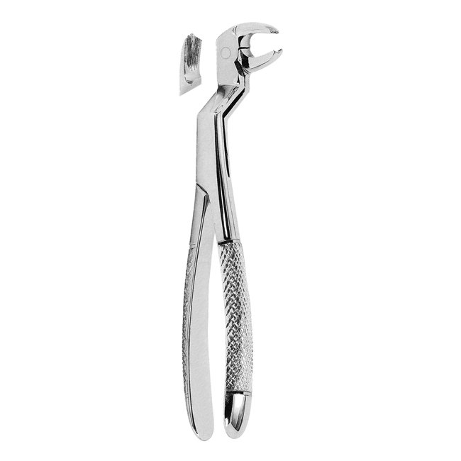 aaadix_extrac_forcep_0020.jpg Extracting Forcep - Image 1